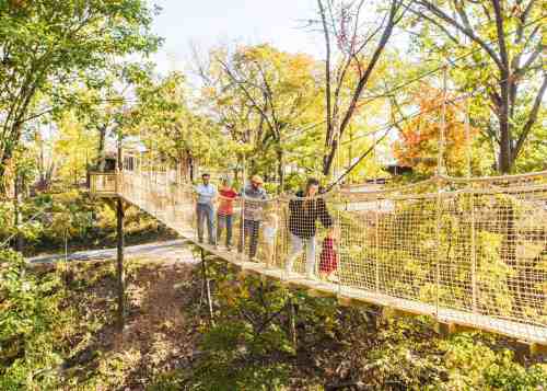 A group of people walking on a suspended bridge surrounded by colorful autumn trees.