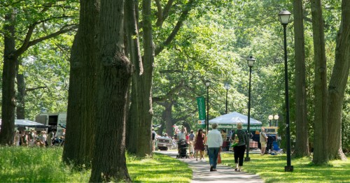 Summer farmers market at a park in Maine with shoppers and park-goers enjoying the beautiful summer day