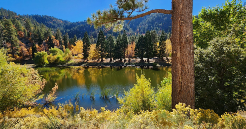 A serene lake surrounded by colorful autumn trees and mountains under a clear blue sky.