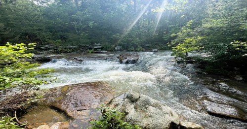 A serene river flows over rocks, surrounded by lush greenery and dappled sunlight filtering through the trees.