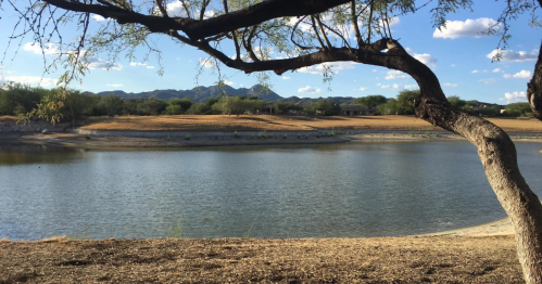A serene landscape featuring a calm lake, a tree branch, and distant mountains under a clear blue sky.