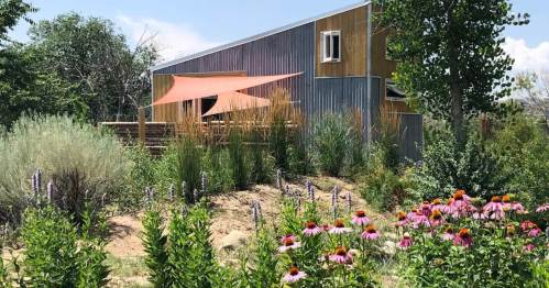 A modern house with a metal and wood exterior, surrounded by colorful flowers and greenery under a clear blue sky.
