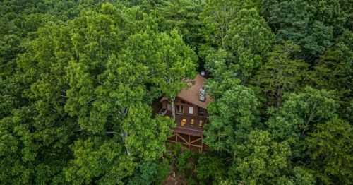 Aerial view of a wooden cabin nestled among lush green trees in a dense forest.
