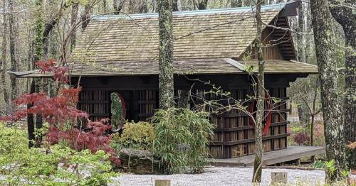 A small wooden cabin surrounded by trees and colorful plants, featuring a sloped roof and open porch.