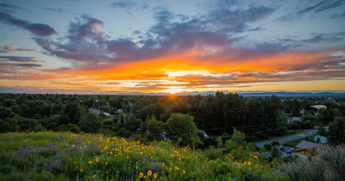 A vibrant sunset over a lush landscape, with colorful clouds and wildflowers in the foreground.