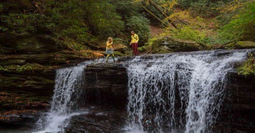 Two people and a dog stand near a waterfall in a lush, green forest during autumn.