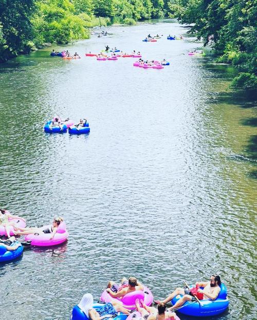 People floating on colorful inner tubes in a serene river surrounded by lush greenery.