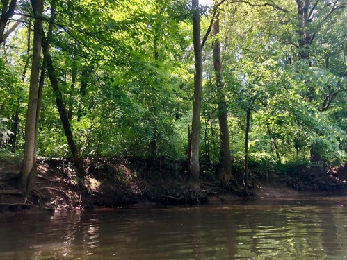 Lush green trees line a calm riverbank, reflecting in the water under bright sunlight.
