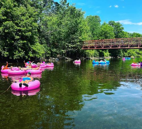 People relaxing on pink inner tubes in a serene river, surrounded by lush greenery and a wooden bridge in the background.