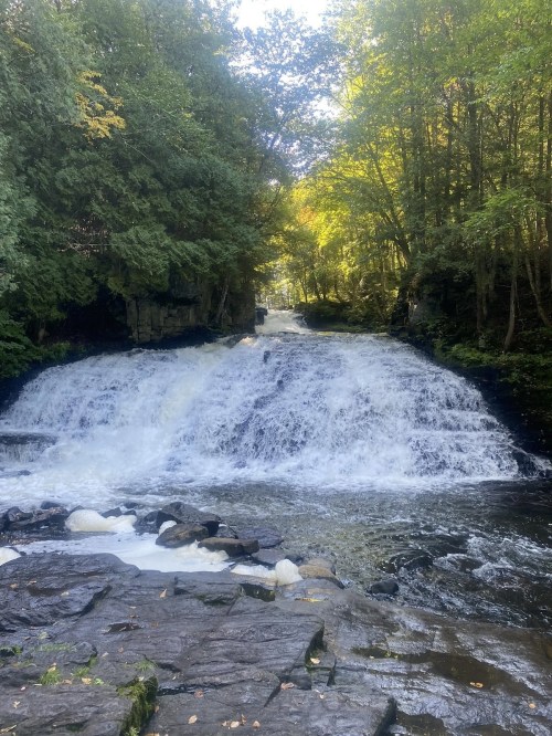 A serene waterfall cascades over rocks, surrounded by lush green trees and dappled sunlight.