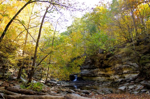 A serene forest scene with vibrant autumn foliage and a small waterfall cascading into a rocky creek.