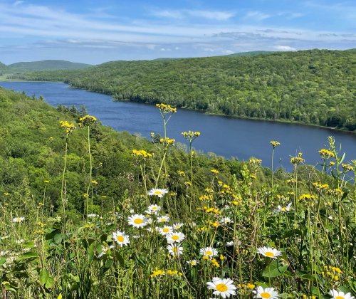 A scenic view of a river surrounded by lush green hills and wildflowers in the foreground under a blue sky.