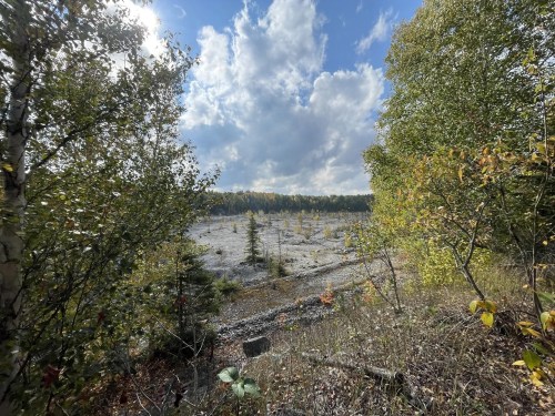 A barren landscape surrounded by trees, with a cloudy sky above and patches of greenery in the foreground.