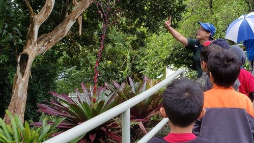 A guide points to a tree while a group of children watches, surrounded by lush greenery and colorful plants.