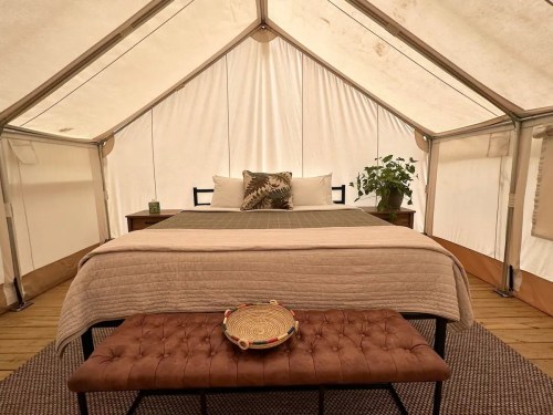Cozy glamping tent interior featuring a bed, decorative pillows, a plant, and a woven basket on a bench.