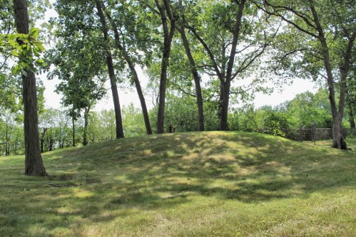 A grassy hill surrounded by trees, with dappled sunlight filtering through the leaves on a clear day.