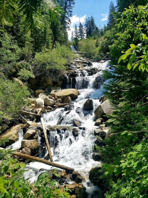 A cascading waterfall flows over rocks, surrounded by lush green trees and a bright blue sky.