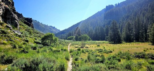 A scenic mountain landscape with a winding path through lush greenery and tall trees under a clear blue sky.