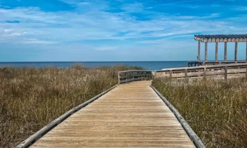 A wooden boardwalk leads through tall grass to the ocean under a blue sky with scattered clouds.
