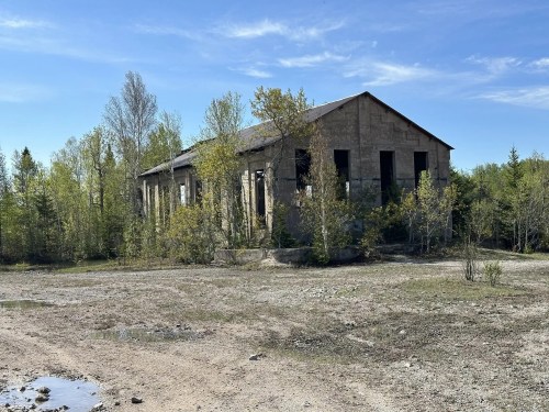 Abandoned building surrounded by trees and overgrown vegetation under a clear blue sky.