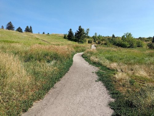 A winding dirt path through a grassy field with trees and a clear blue sky.