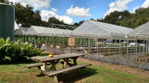 A greenhouse area with a picnic table in the foreground, surrounded by plants and blue skies with fluffy clouds.