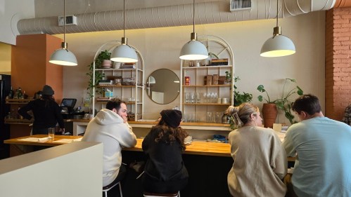 A cozy café interior with patrons seated at a wooden counter, shelves with plants and glassware in the background.