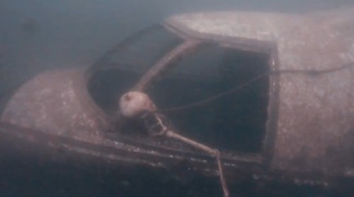 A submerged airplane wreck with a skeleton visible inside the cockpit, surrounded by murky water.