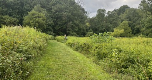a grassy trail atashland nature center in delaware