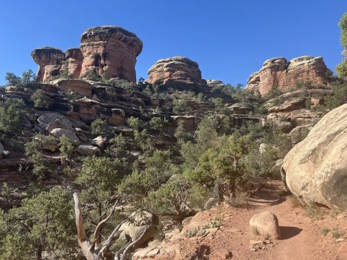 Rocky formations rise above a dirt path, surrounded by greenery under a clear blue sky.