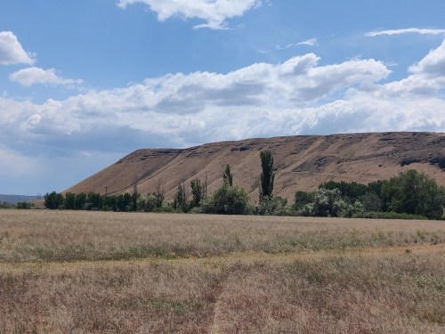 A grassy field in the foreground with a large, sloping hill and scattered trees under a partly cloudy sky.