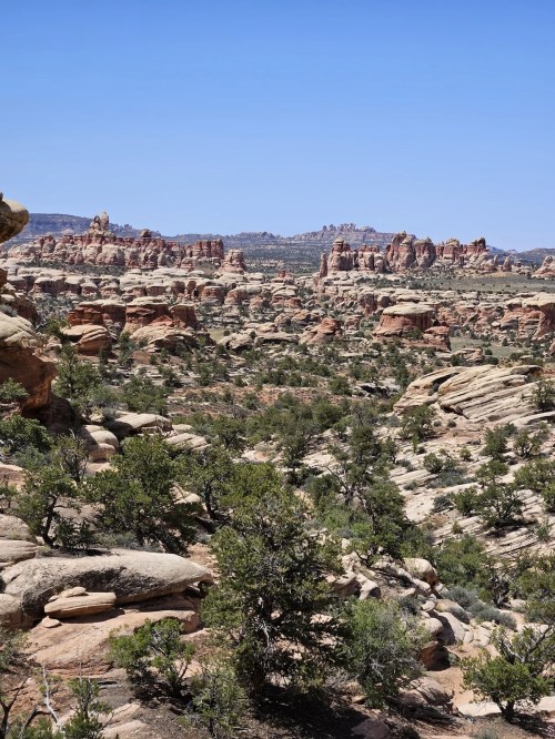 A vast desert landscape featuring rocky formations, shrubs, and a clear blue sky in the background.