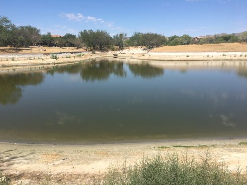 A calm, reflective pond surrounded by dry land and sparse vegetation under a clear blue sky.