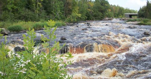 A swimming hole in Minnesota, featuring the water flowing over rocky terrain, surrounded by lush greenery.