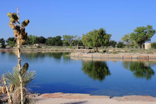 A serene lake surrounded by trees and rocky shores, reflecting the clear blue sky and greenery.
