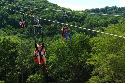 People ziplining through a lush green landscape on a sunny day.