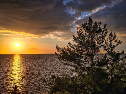 A serene sunset over the water, with golden hues reflecting on the surface and a silhouette of a tree in the foreground.