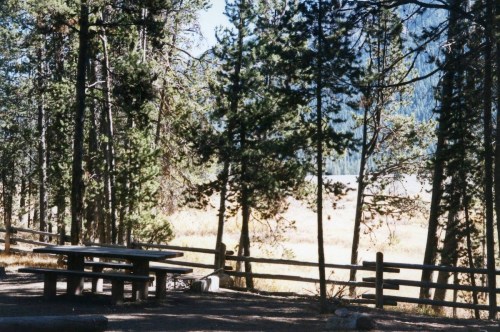A serene outdoor scene featuring a picnic table surrounded by tall trees and a grassy area in the background.