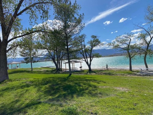 A serene lakeside scene with green grass, trees, and a clear blue sky, reflecting on the water.