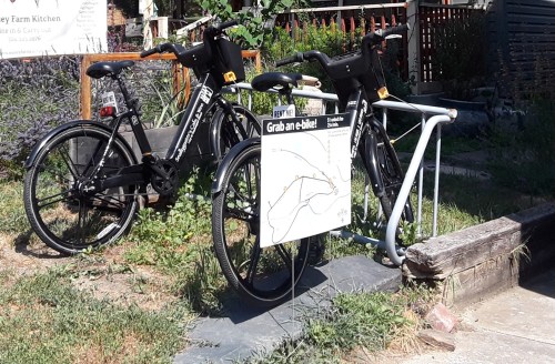 Two black bicycles parked next to a sign with a map, surrounded by greenery and a wooden fence.