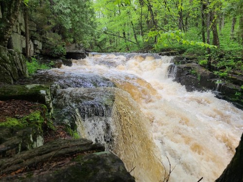 A rushing river flows over rocky terrain, surrounded by lush green trees in a serene forest setting.