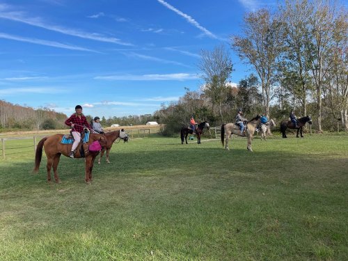 A group of people on horseback in a grassy area with trees and blue skies in the background.