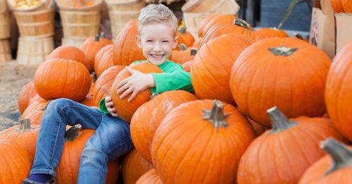Little boy sitting in a stack of pumpkins of all sizes at a pumpkin patch