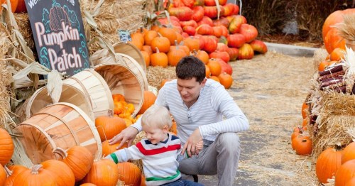 Father and son are sitting on haystacks surrounded by lots of pumpkins at a pumpkin patch.
