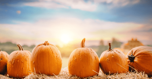 A row of pumpkins lined up on a bale of hay with the sun shining behind them.