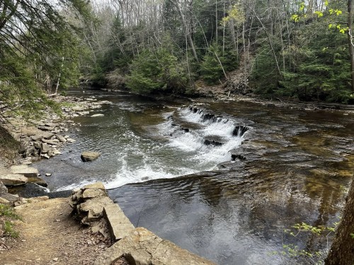 A serene river flows over rocks, surrounded by lush green trees and a peaceful natural landscape.
