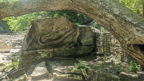 A carved stone featuring a dragon, partially obscured by a large tree branch in a lush, green setting.