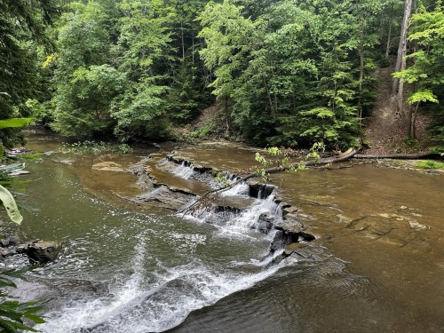 A serene river flows over rocky formations, surrounded by lush green trees in a peaceful forest setting.