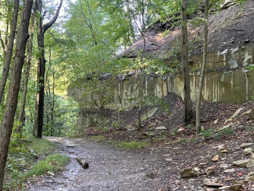 A forested path leads alongside a rocky cliff, surrounded by trees and greenery.