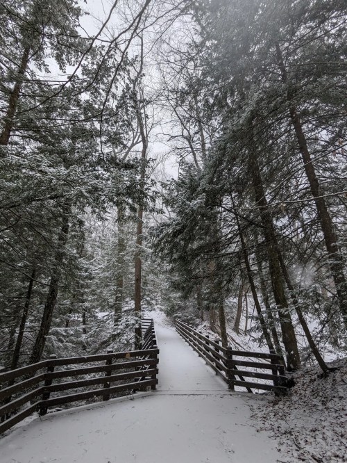 A snowy path winds through a forest, flanked by tall trees and wooden railings, creating a serene winter scene.